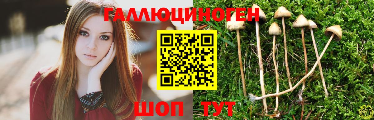 Псилоцибиновые грибы мухоморы  Вход с VPN  купить наркотики сайты  Галлюциногенные грибы MAGIC MUSHROOMS  Малоярославец 